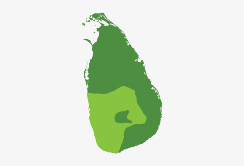 Map - Emblem Of Sri Lanka, transparent png