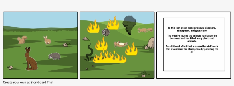 Cause And Effect Of Wildfires - Illustration, transparent png