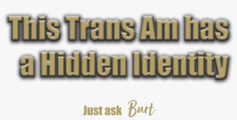 Burt And The Official First Born Bandit - Tilt Your Screen Back, transparent png