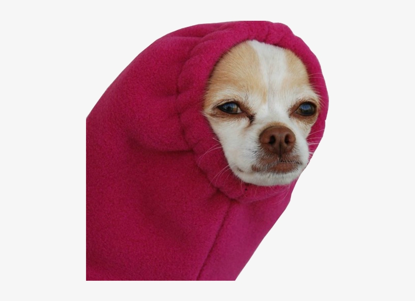 Source - Transparentcreation - Tumblr - Com - Dog In A Sleeve, transparent png