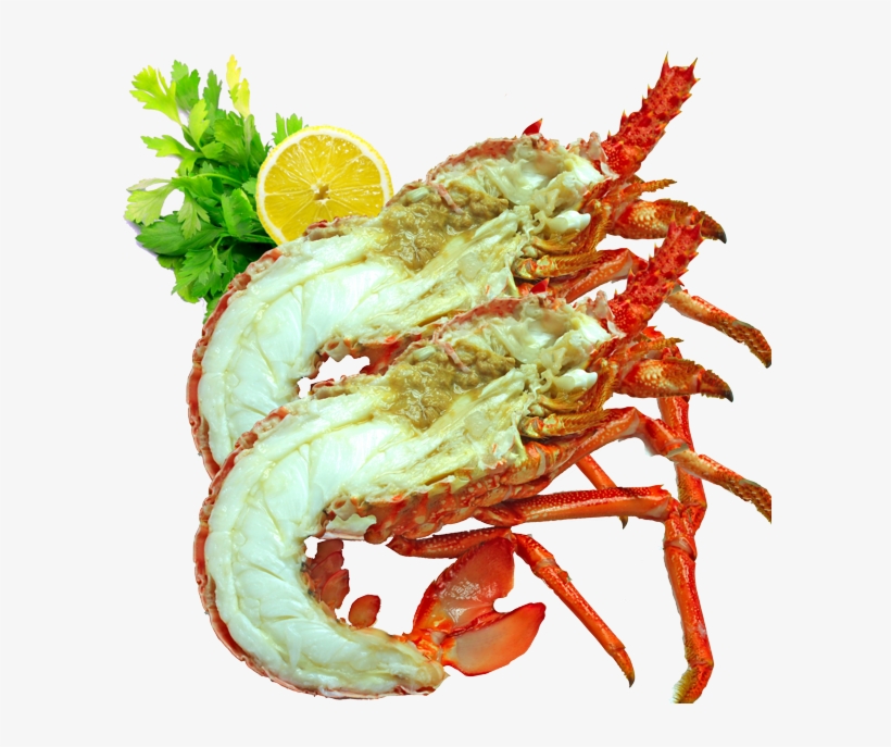 Cooked Crayfish - Crayfish Cooked, transparent png