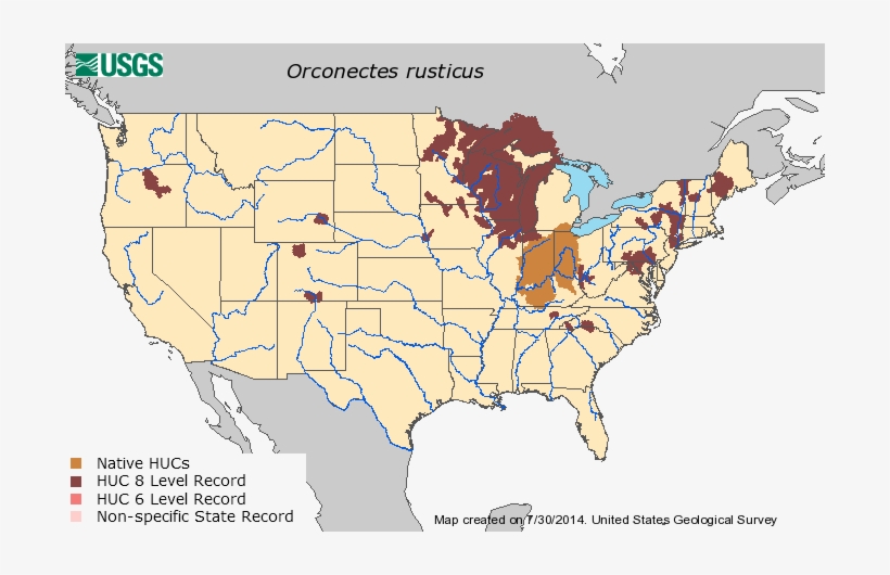 Distribution Rusty Crayfish - Red Spotted Newt Distribution, transparent png