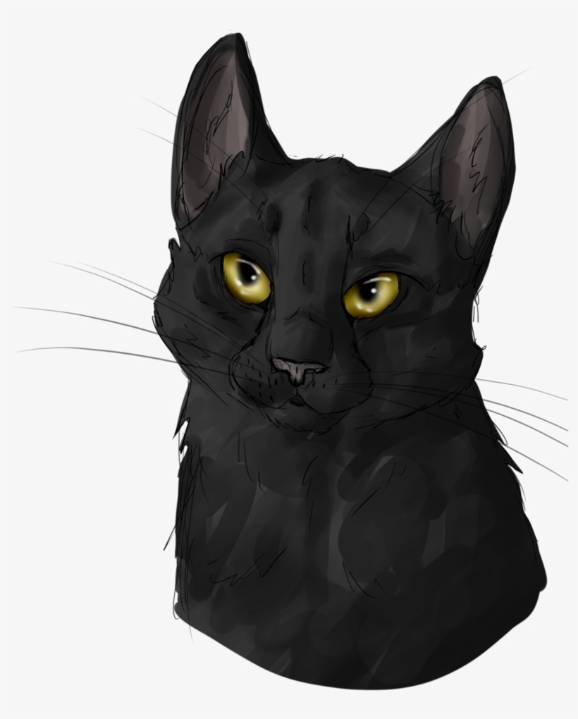 Black Cat Portrait X3 By Afna2ooo-d5qlqsd - Cat, transparent png