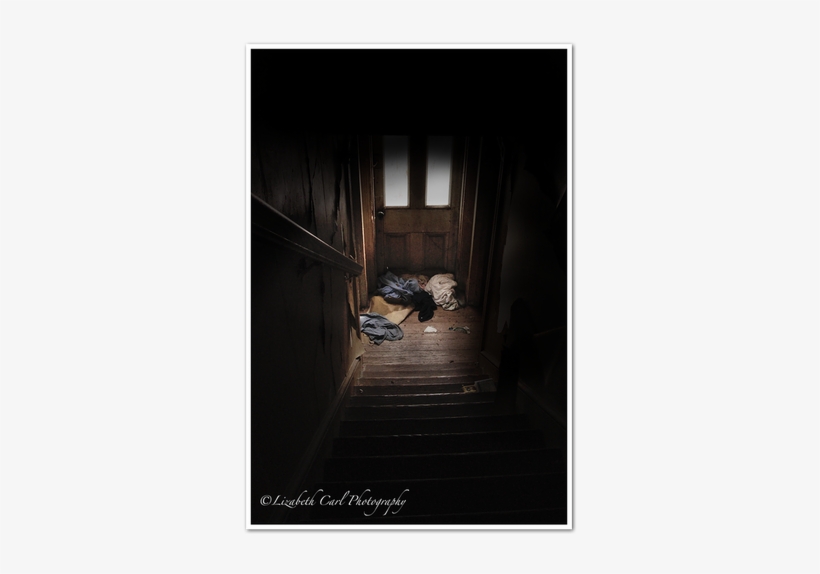 Picture - Floor, transparent png