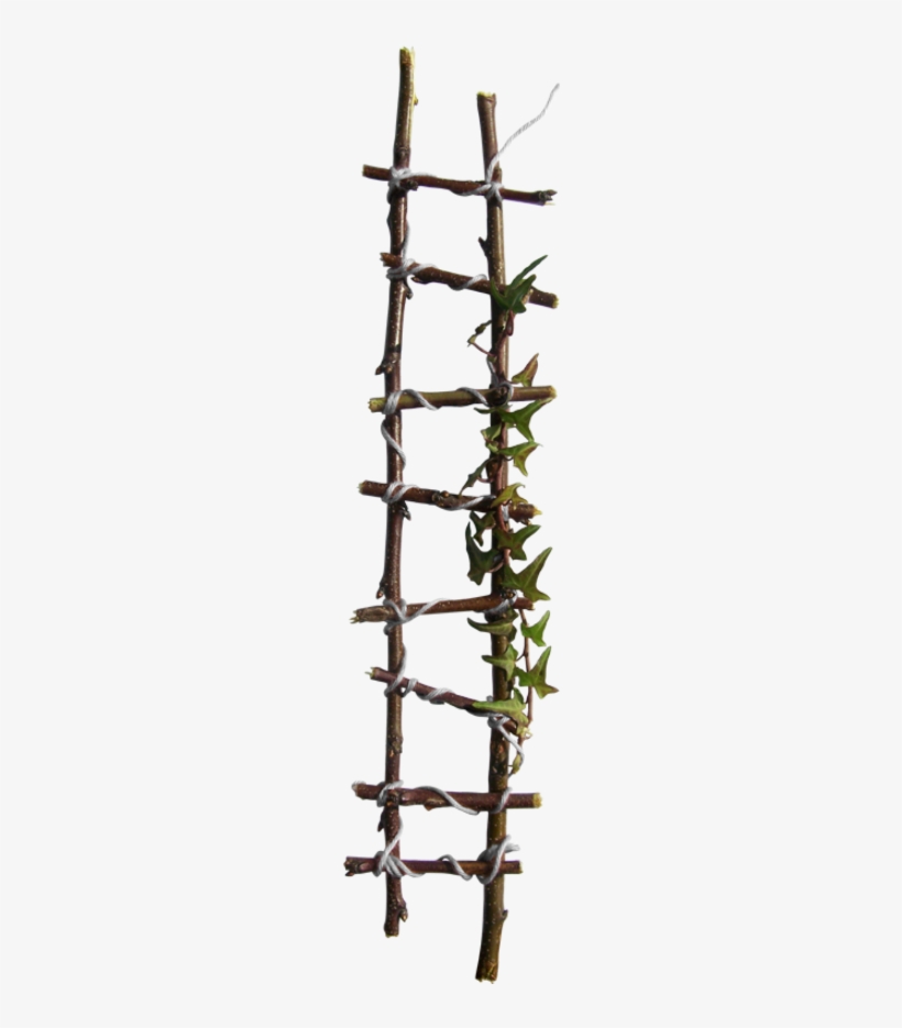 Rope, transparent png