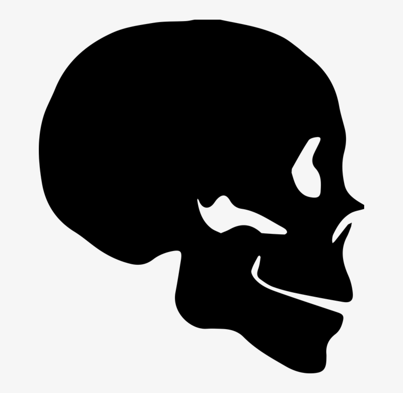 Silueta De Craneo, transparent png