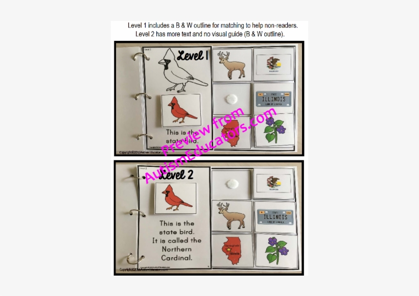 Special Education, transparent png
