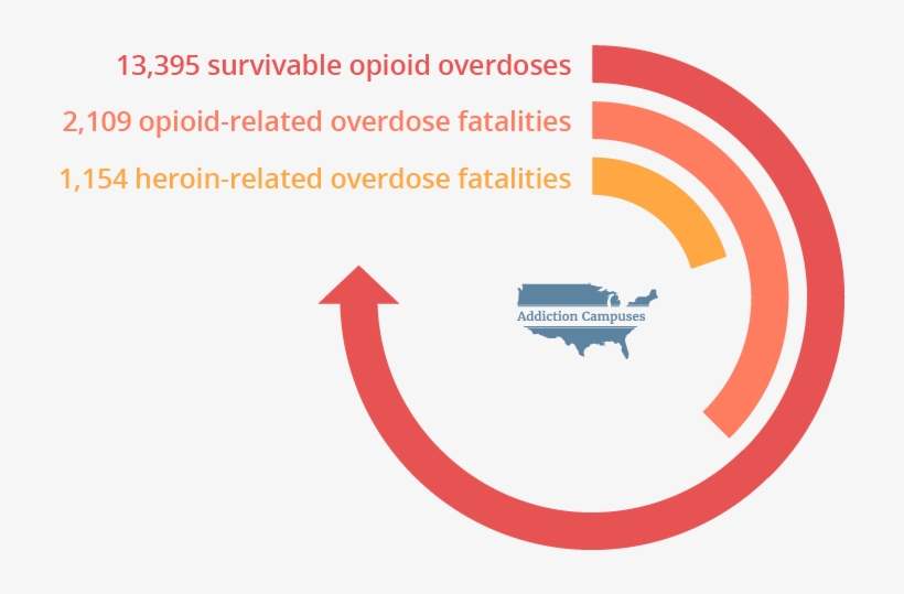 Com Illinois Opioid Overdoses - Addiction Campuses, transparent png