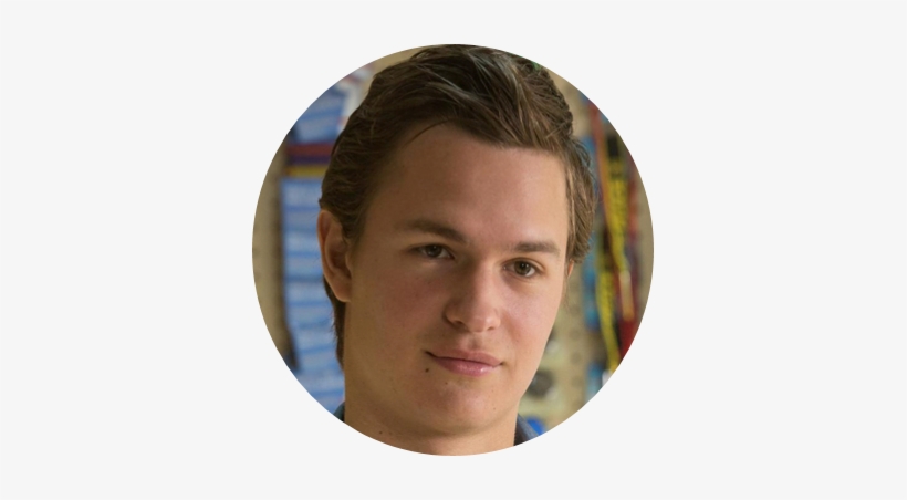 Ansel Elgort Como Un Cajero, Este Sólo Hace Un Cameo - Plate, transparent png
