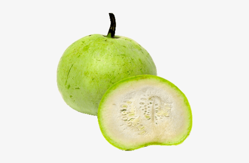 Bottle Gourd Round - Round Bottle Gourd, transparent png
