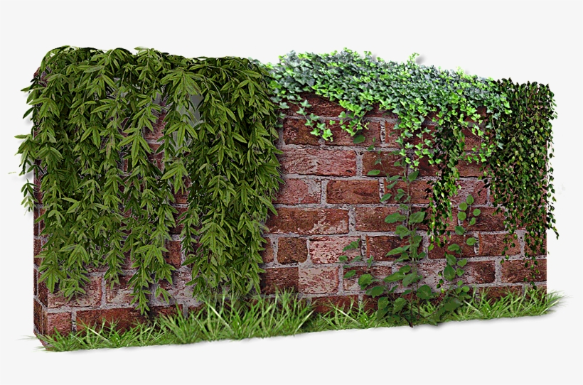 Wall, transparent png