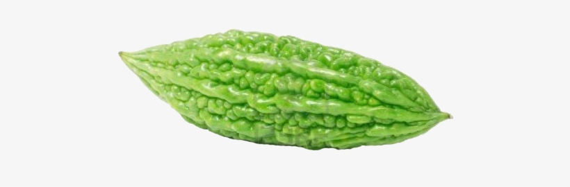 Hd Images Of Bitter Gourd, transparent png