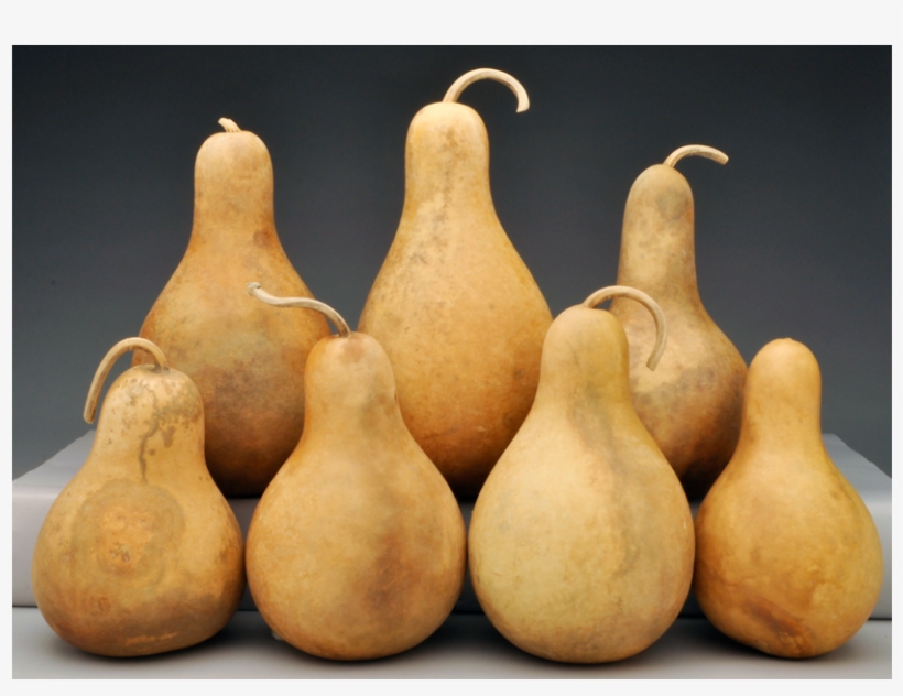 Pre-boxed Clean Pear And Tear Drop Gourds - Pear Gourd, transparent png