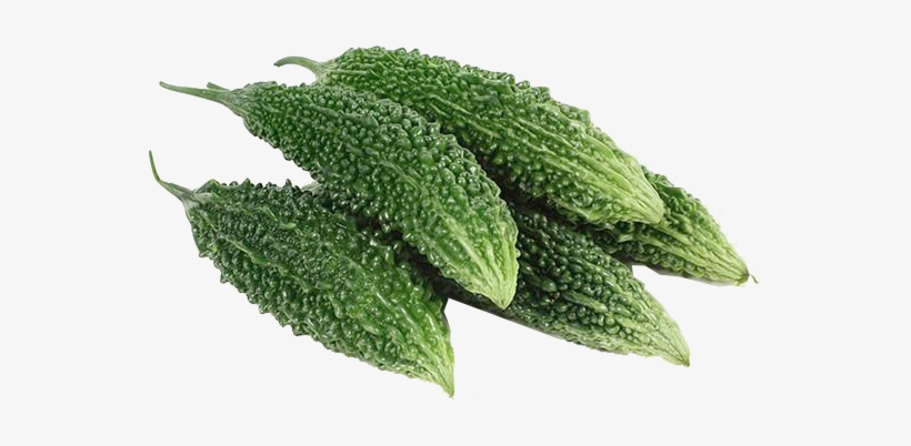More Views - Vegetables Bitter Gourd, transparent png