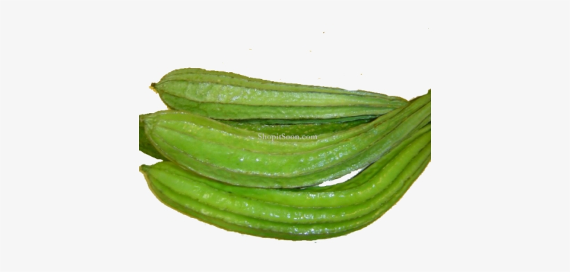 Ridge Gourd Png, transparent png