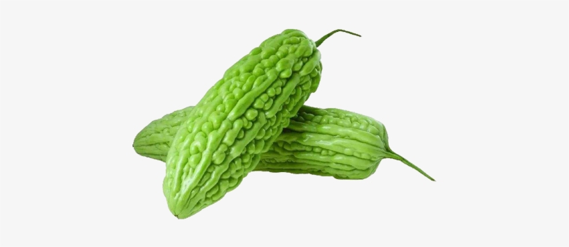 Bitter Gourd Ampalaya Plus - Golden Autumn Farm- Bitter Gourd Seeds 50, transparent png