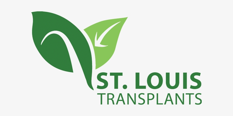 Transplants Logos Tp - Acclimate Llc Aka St. Louis Transplants, transparent png