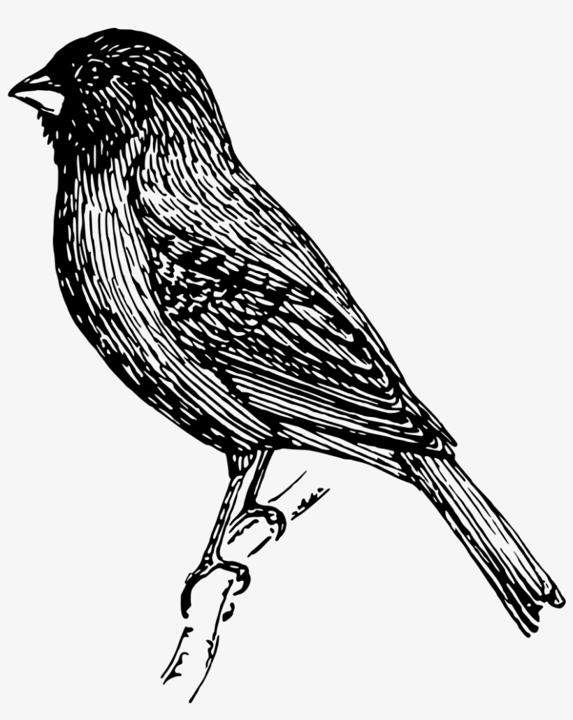 Indigo Bunting - Étamine D'indigo Porte-clés, transparent png