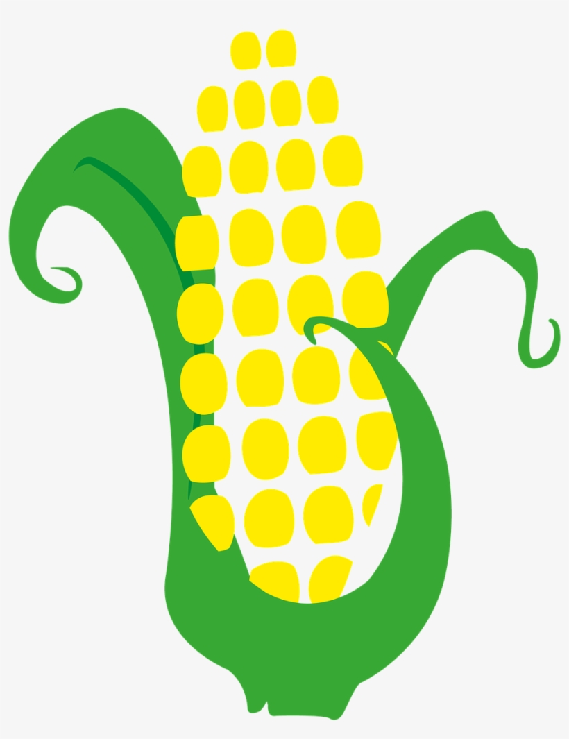Corn Cob Harvest - Mazorca De Maiz Png, transparent png