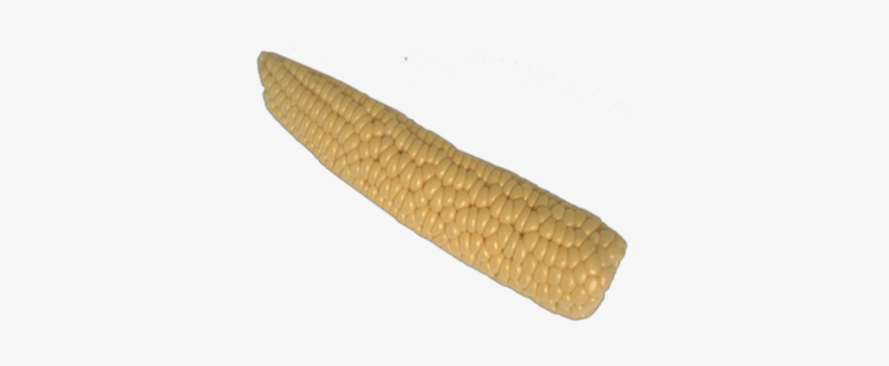 Corn On The Cob - Popcorn Plant, transparent png