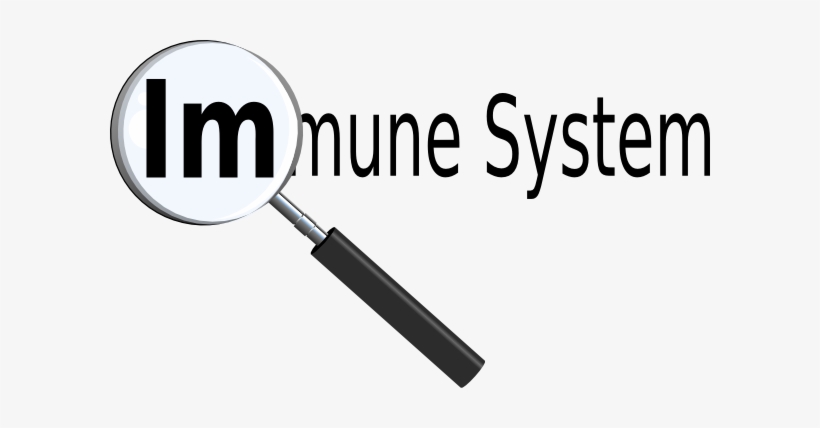 The Battle For Your Immune System - Immune System Black And White Clipart, transparent png