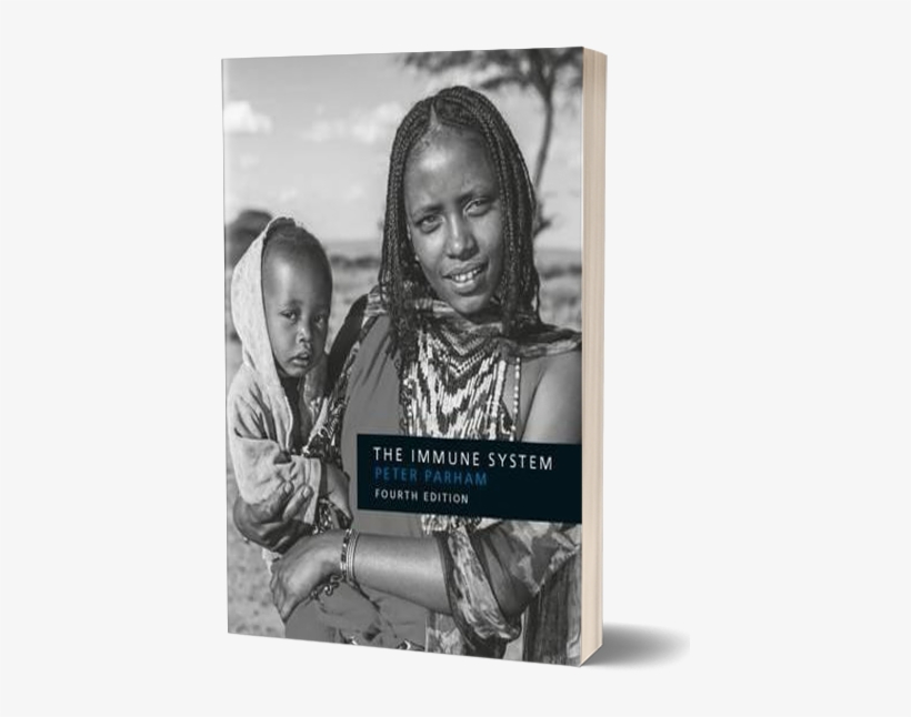 Immune 3d - Immune System By Peter Parham, transparent png