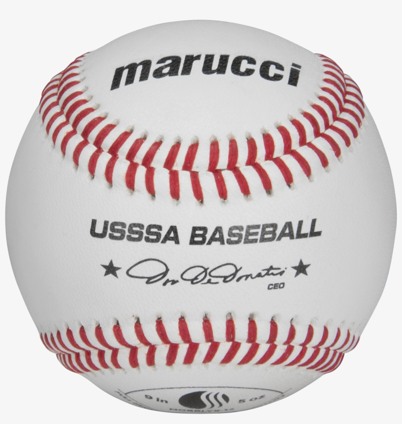 Tecate My Body Red Button Back Beer Button Museum - Bicycle, transparent png