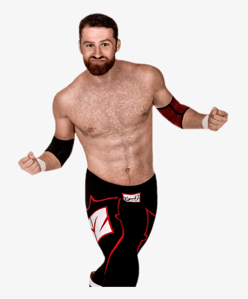 Sami Zayn Sami Zayn Returning To Nxt Former Wwe Champion - Wwe Sami Zayn, transparent png