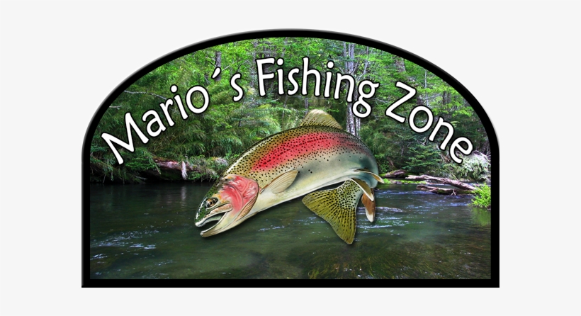 Fishing, transparent png