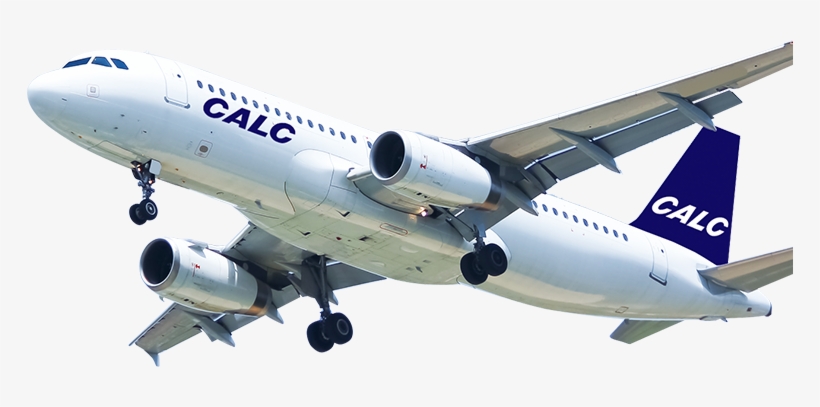 Aircraft Solutions Provider - Aer Lingus, transparent png