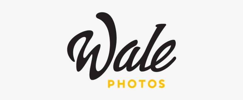 Personal Communication And Attention To Detail Are, transparent png