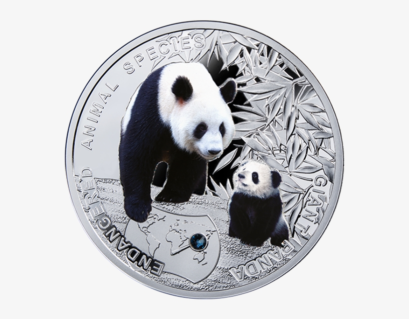 Niue 2014 1$ Giant Panda - Animal Coin, transparent png
