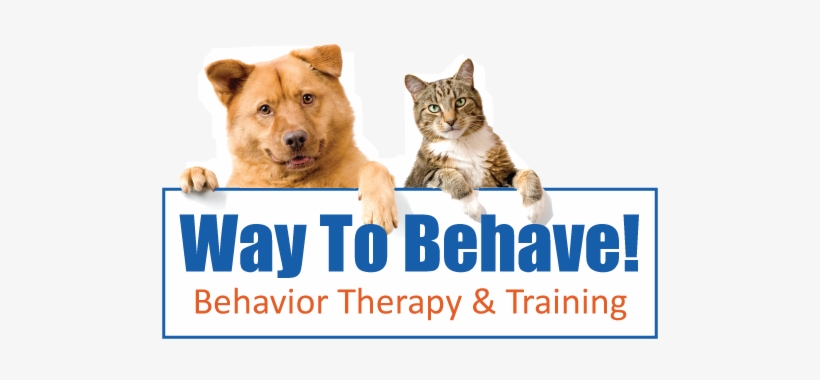 Way To Behave - Vet Animals, transparent png