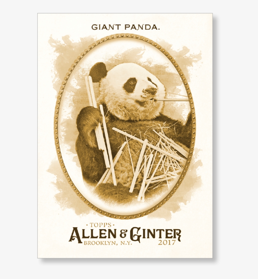 Giant Panda - 2017 Topps Allen & Ginter Aaron Judge New York, transparent png