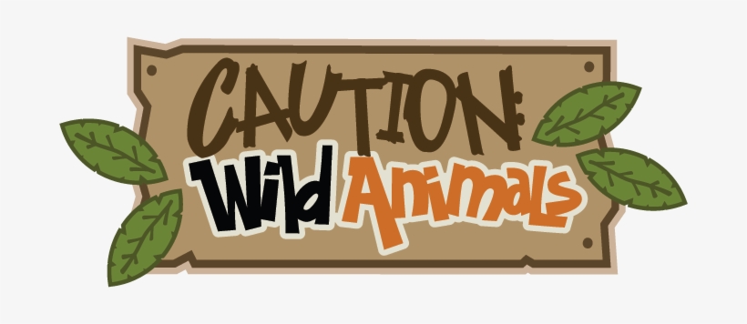 Download Wild Animals Svg Scrapbook Title Zoo Svg Files Zoo Wild Animals Scrapbook 690x276 Png Download Pngkit
