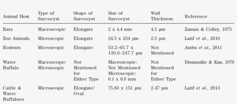 Morphology And Size Of Sarcocystis Sp - Tissue, transparent png