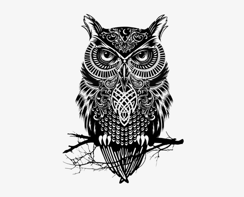Owl Art Png - Owl Art Black And White, transparent png