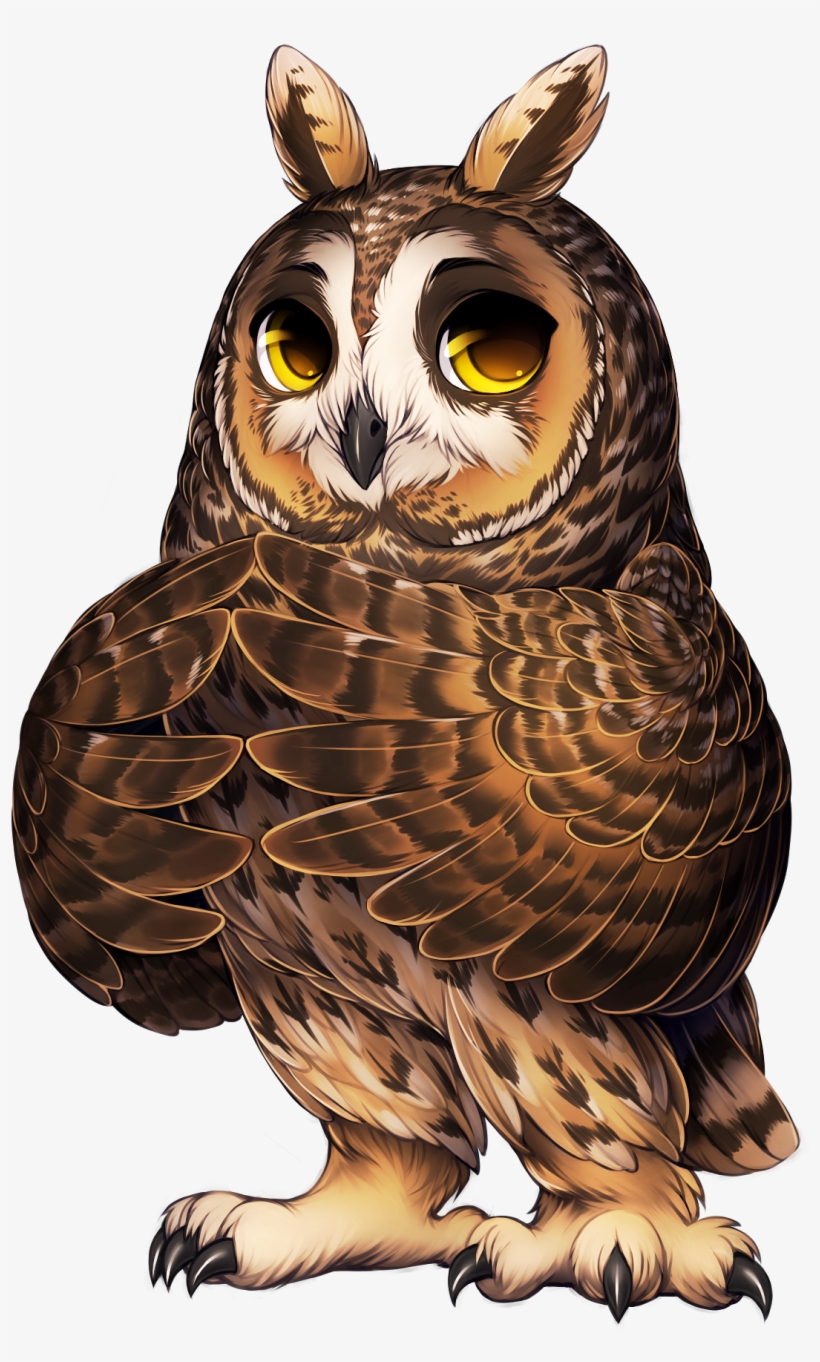 Owl Long Eared - Long Eared Owl Cartoon, transparent png