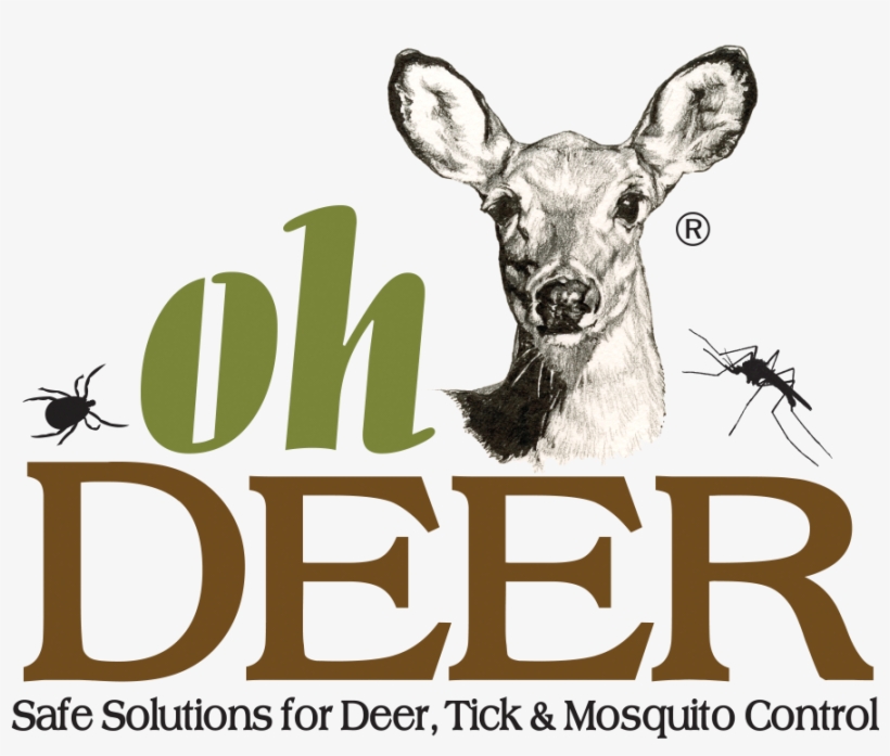 Ohdeer - Nantucket, transparent png