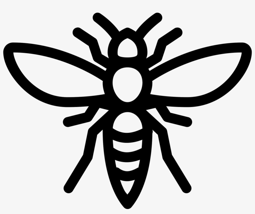 This Is An Image Of A Hornet - Hornet Vector Png, transparent png