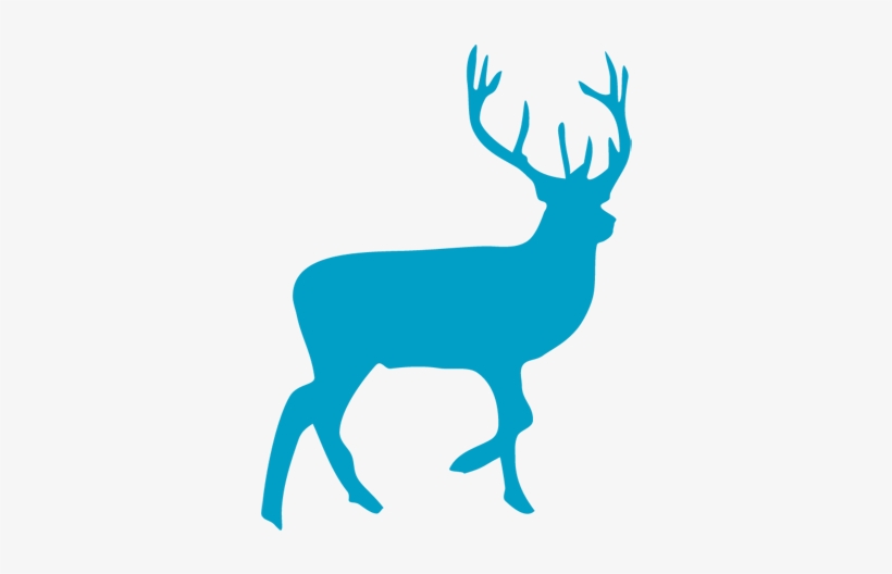 Our Deer Logo - Full Body Deer Stencil, transparent png