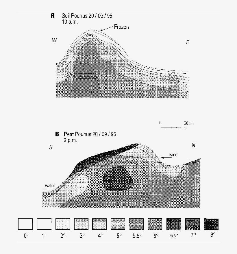 Thermal Comportmen T Of Pounus Of Site A After A Night - Diagram, transparent png