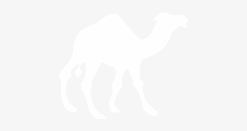 Download Instruction Booklet - Love Camels, transparent png