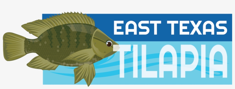 East Texas Tilapia, transparent png