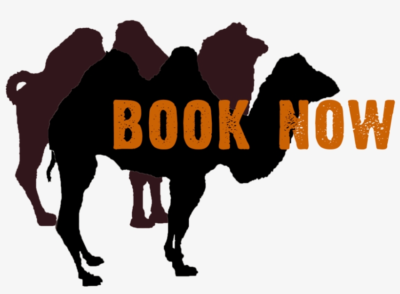 Camel Book Now - Programming Perl, transparent png