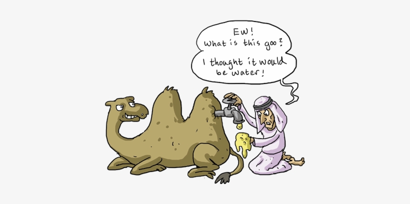 What's The First Thing You Think Of When You Imaging - Camel Hump Water, transparent png