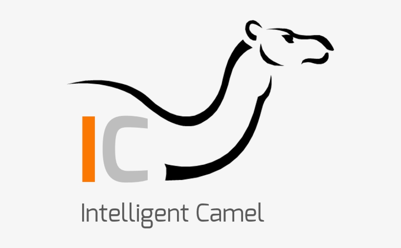 Services ▻ - Intelligent Camel, transparent png