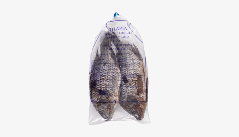 Tilapia, Frozen - Tilapia, transparent png