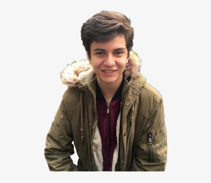 Hamster, transparent png