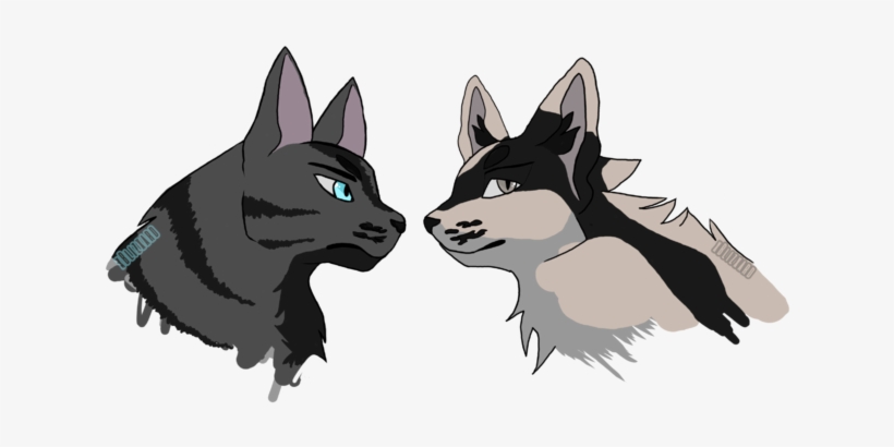 Zico And Spade Oc - Animal Jam Clans, transparent png